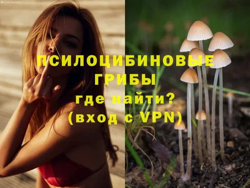 Галлюциногенные грибы Psilocybine cubensis  Изобильный 